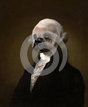 Funny George Washington Dog Painting Portrait