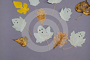 Funny ghosts drawn on the leaves of a poplar tree