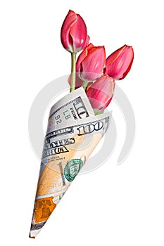 Legrační z tulipán květiny balený v peníze 