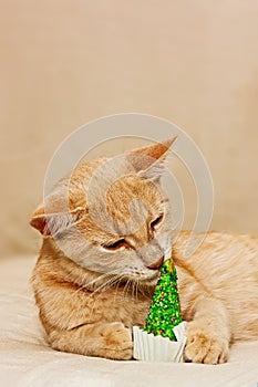 Funny ginger cat bites edible green christmas tree. New year and Marry Christmas card. Space for text. Selective focus.