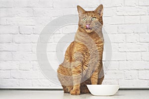 Funny ginger cat licking his face next to a white food dish.