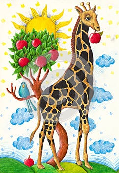 Funny Giraffe eating apple