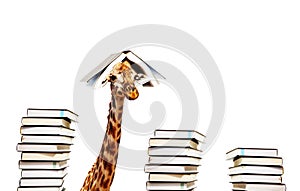 Funny giraffe with piles and book on head look