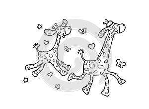 Funny giraffes