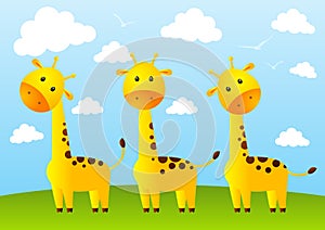 Funny giraffes