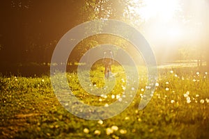 Funny girl driving bicycle outdoor. Sunny summer lifestyle concept. Woman in dress and hat in Field with dandelions