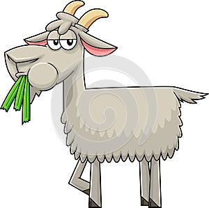 Funny Goat Cartoon Character Eating A Grass