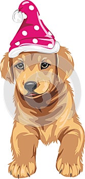 Funny golden retriever puppy in a hat