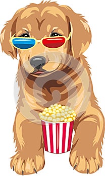 Funny golden retriever puppy are movie expert