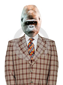 Funny Gorilla Businessman, Suit and Tie, isolated