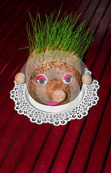 Funny grass head on table