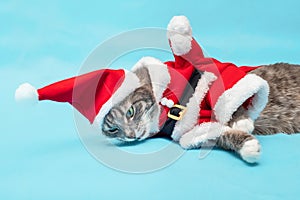 Funny gray cat in a Santa Claus costume lies and yawns hilariously. The concept of a bad year photo