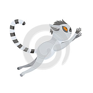 Funny gray lemur jumps high. The fluffy striped tail curves. Cute baby animal in cartoon style. Vector illustration, isolated