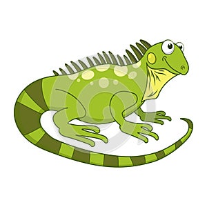 Funny green iguana. Cute exotic lizard isolated on white background. Reptile animal cartoon character. Education card for kids