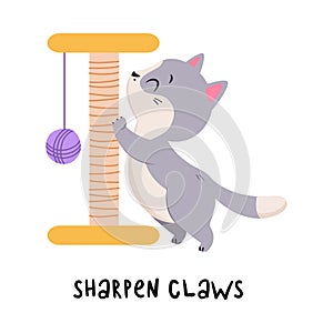 Funny Grey Cat Sharpen Claws at Scratching Post as English Verb for Educational Activity Vector Illustration