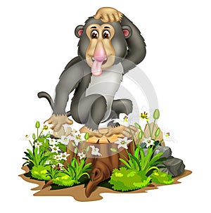 Funny Grey Monkey Wth White Ivy Flower And Rocks Cartoon