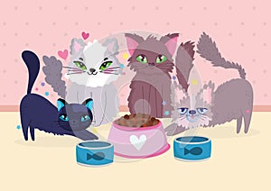 funny group cats animals with canned fish and food bowl