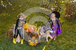 Funny group of friends children in a Halloween costume on Halloween party. Happy children with skeleton and witch