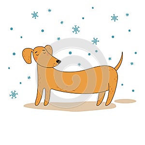 Funny hand-drawn dachshund. The dog walks in the winter.