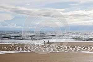 Two people doing funny handstand on the beach. Sandy beach and two people.