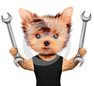 Funny handyman dog with two wrenches