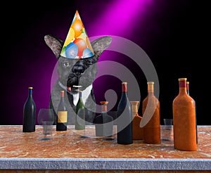 Funny Happy Birthday Party Dog, Drinking, Alcohol