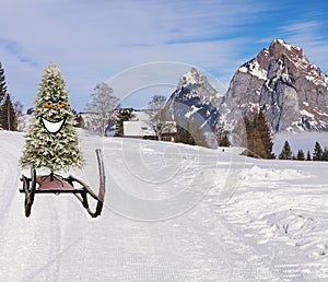 Funny happy and smiling christmas tree sliding down the ski hill slope on a sledge on a winter mountain landscape