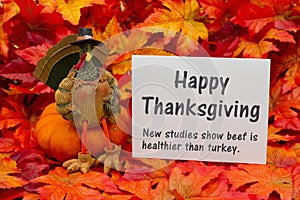 Funny Happy Thanksgiving Greeting