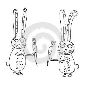 funny hare gives a gift to a bunny. Vector illustration. Isolated. Coloring pages for adults and children. Cartoon. Hand