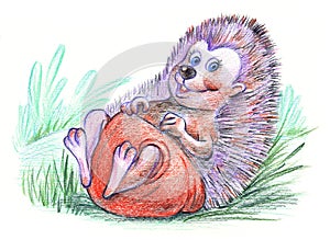 Funny hedgehog