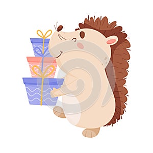 Funny Hedgehog Carrying Gift Boxes in His Paws Vector Illustration