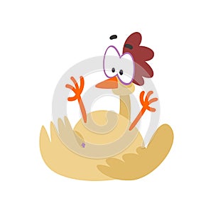 Funny hen fell on its back, comic cartoon chicken bird character with big eyes vector Illustration on a white background