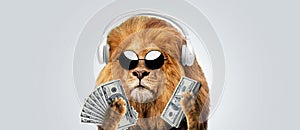 Funny hipster lion boss with fashion sunglasses and headphones holds money dollars in his paws on a gray background. Success and