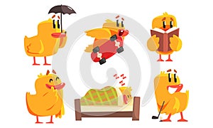 Funny Humanized Chicken in Various Situations Set, Cute Bird Cartoon Character Activity Vector Illustration