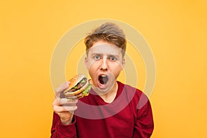 Funny, hungry young man in the casual clothing holds a burger in his hands, looks into the camera with his mouth open, close-up