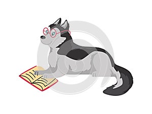 Funny husky dog in glasses reading book flat style, vector illustration