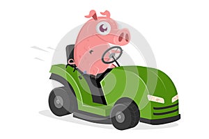 Funny illustration of a cartoon pig with lawn mower tractor