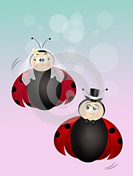 Funny illustration of ladybugs