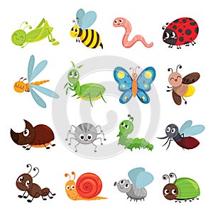 Funny insect set, bug, beetle, butterfly symbol