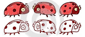 Funny isolated lady bugs, vector set. Contour and colored illustration of cute ladybirds