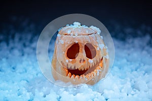 Funny Jack O Lantern halloween pumpkin in the snow. Festive carved decoration of an orange vegetable in studio. Close up