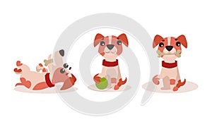 Funny Jack Russell Terrier Character Rolling and Gnawing Bone Vector Set