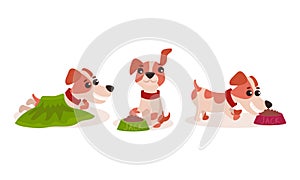 Funny Jack Russell Terrier Character Running and Eating Dry Feed Vector Set