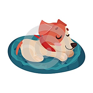 Funny Jack Russell Terrier Character Sleeping on Pillow Vector Illustration