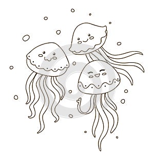 Funny jellyfishes