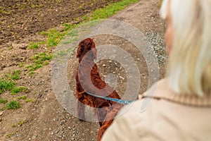 Funny jog with a dog in the autumn park. Woman walks with the dog on a leash . Love, care and walking with a dog.