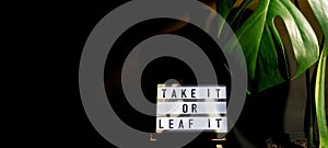 Funny joke idea inscription saying TAKE IT OR LEAF leave IT Monstera silhouette leaf in dark background and light from