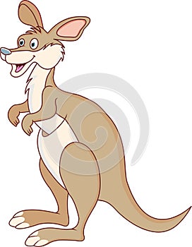 Funny kangaroo cartoon