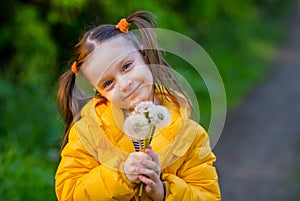 Funny kid girl with ponytails in a yellow jacket holds white fluffy dandelions and smiles