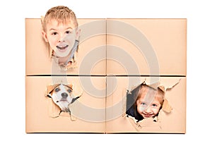 Funny kids and dog looks out of a torn hole in a box